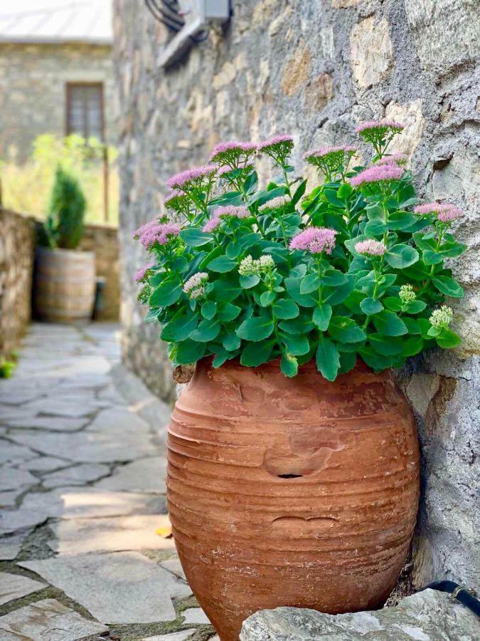 Πέτρινο Παραδοσιακό Σπίτι "Χιονάτη" Villa Nimfaíon Exterior foto